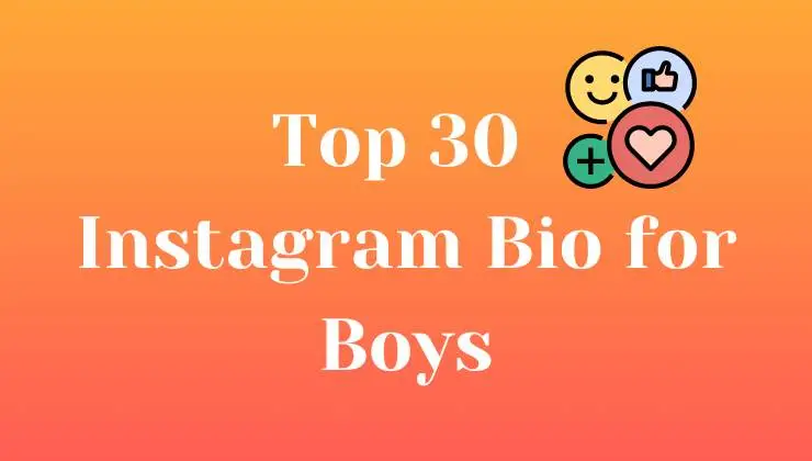 instagram bio for boys attitude