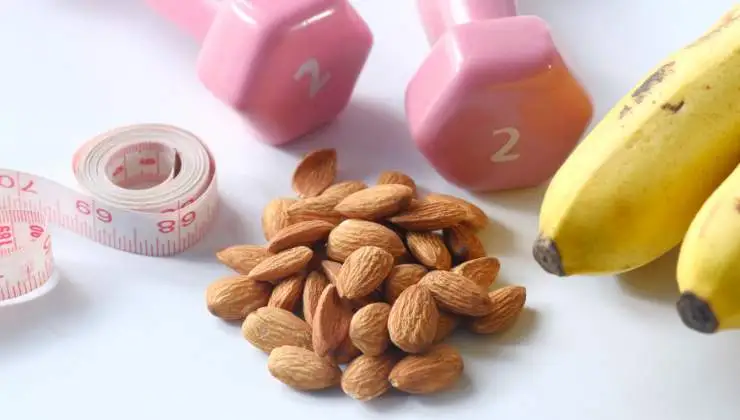 vegan protein