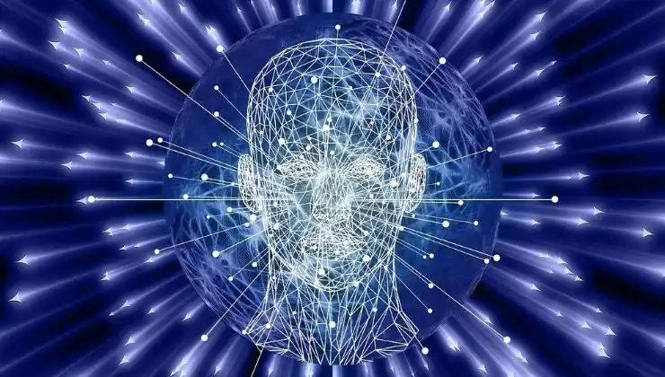 human brain