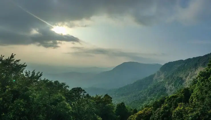 Honnemaradu